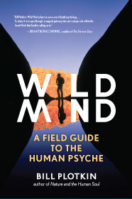 book-wild-mind