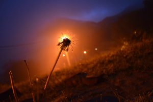 19095392_1796428890670034_6414751912155452480_o